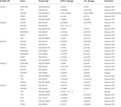 Family-based exome sequencing identifies candidate genes related to keratoconus in Chinese families